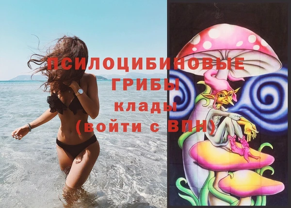 герыч Новозыбков