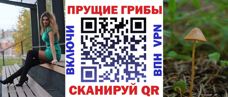 дарнет шоп  Остров  Псилоцибиновые грибы прущие грибы 